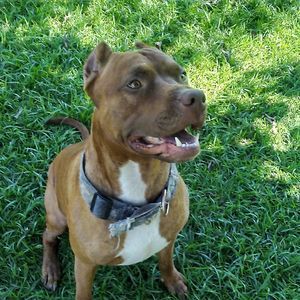 Meet your Posher, Benjamin